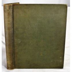 Etude de la Plante: Son Application Aux Industries d'art